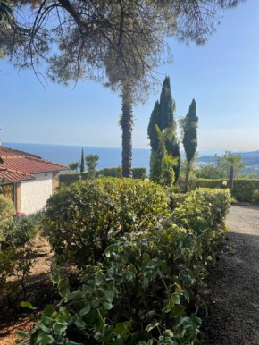 Villa Lilli Cipressa